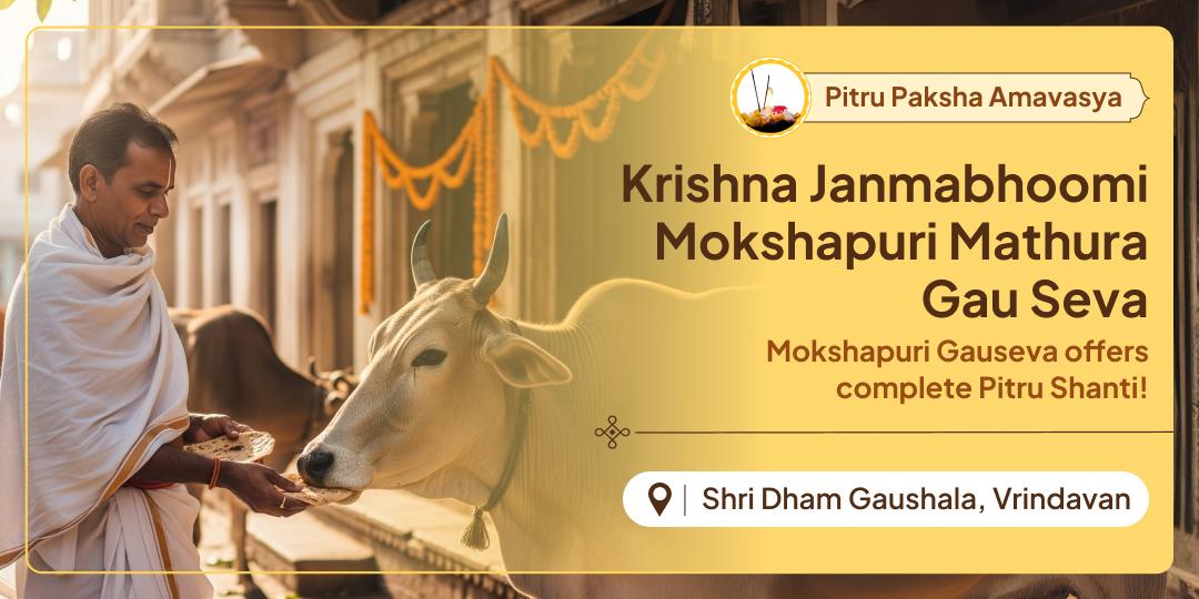 Receive the blessings of 33 crore gods to liberate ancestors with Gau Seva at Krishna bhumi Mathura during this powerful Pitru Paksha Amavasya.