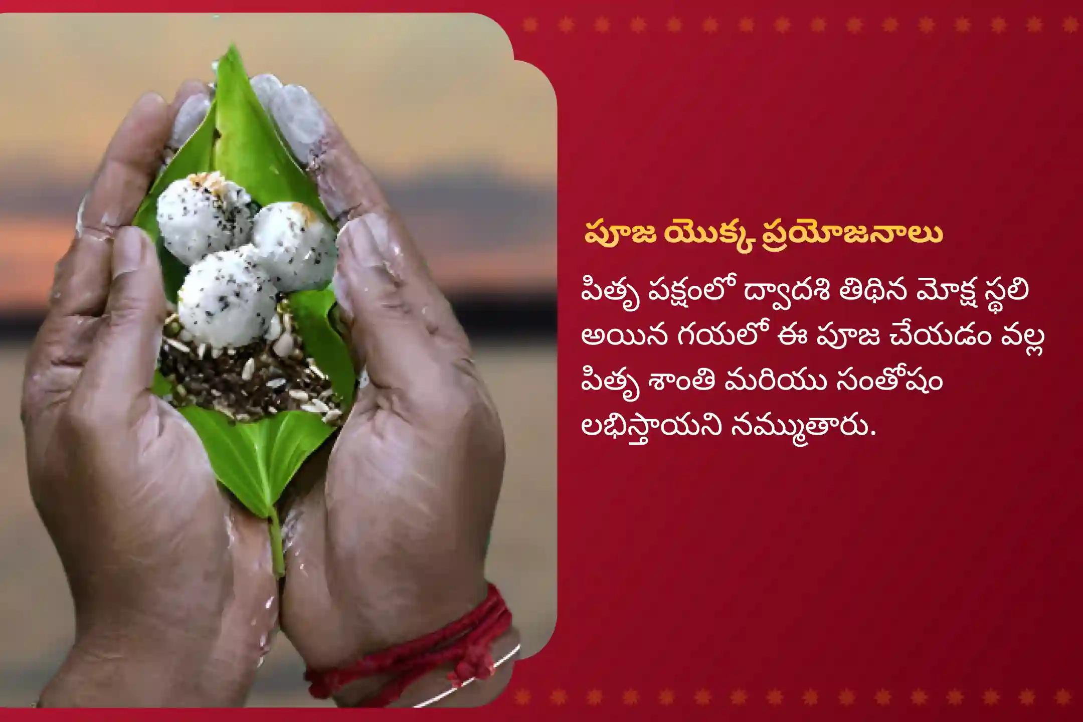 మరణించిన వారి ఆత్మల శాంతి కోసం పిండ ప్రదానం మరియు త్రిపిండి శ్రాద్ధం గయ ప్రత్యేక గయ త్రిపిండి శ్రాద్ధం, పిండ దానం మరియు పితృ తర్పణంలో పాల్గొనండి