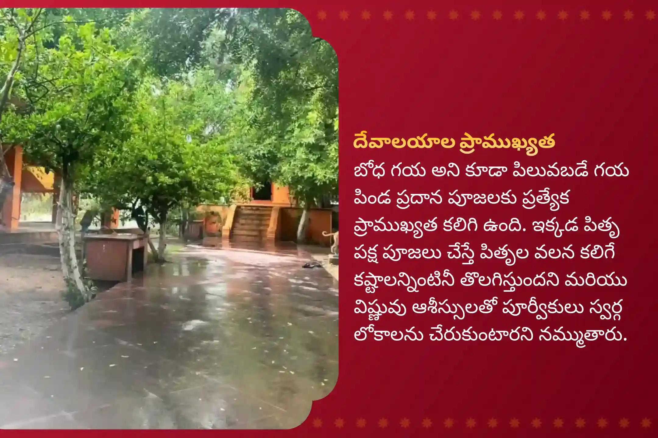 మరణించిన వారి ఆత్మల శాంతి కోసం పిండ ప్రదానం మరియు త్రిపిండి శ్రాద్ధం గయ ప్రత్యేక గయ త్రిపిండి శ్రాద్ధం, పిండ దానం మరియు పితృ తర్పణంలో పాల్గొనండి