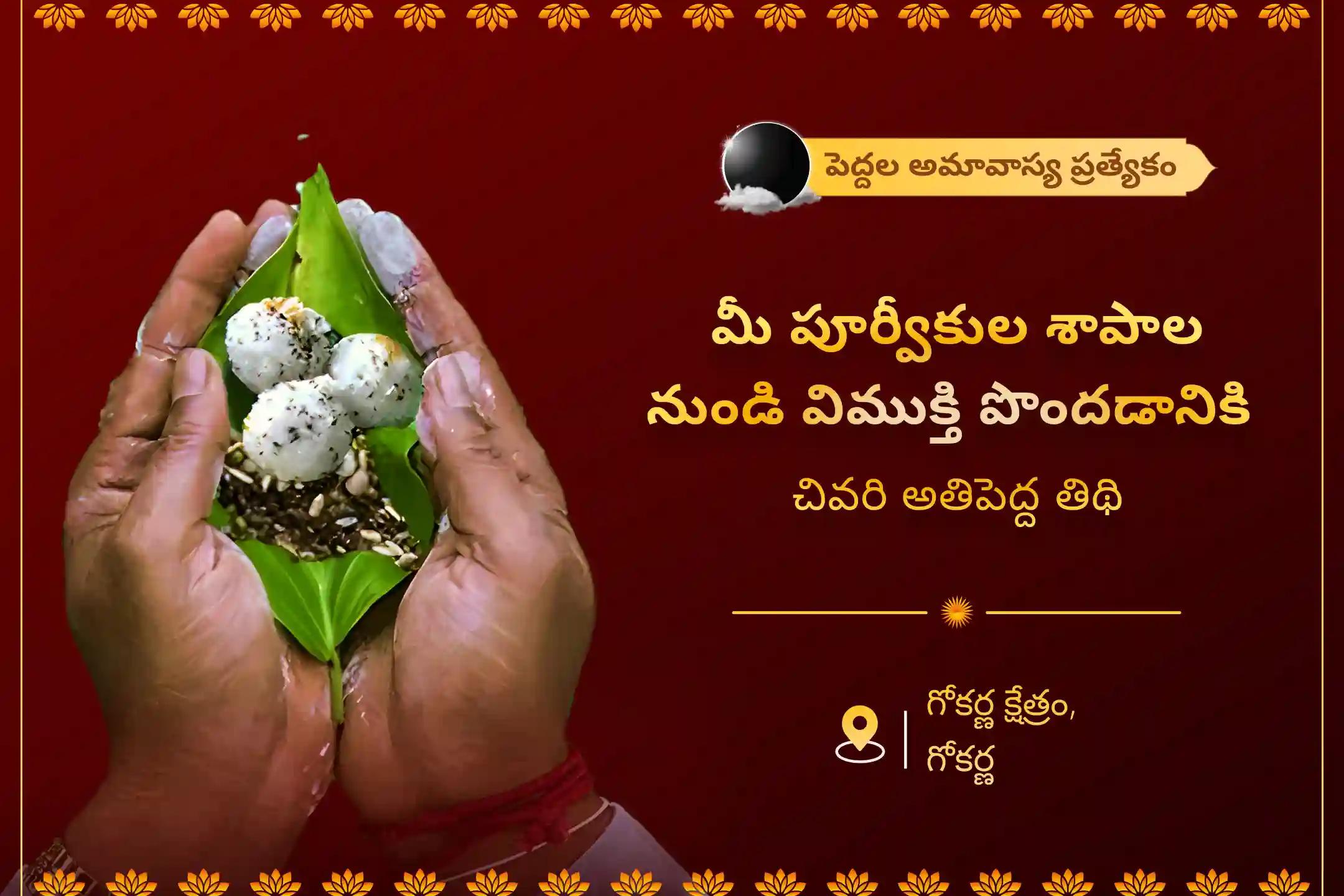  పితృ శాపాల నుండి విముక్తి, మరణించిన ఆత్మలకు శాంతి కోసం మహాలయ పితృ పక్ష నారాయణ బలి ప్రత్యేక నారాయణ బలి, త్రిపిండి శ్రాద్ధం మరియు తిల హోమాలలో పాల్గొనండి.