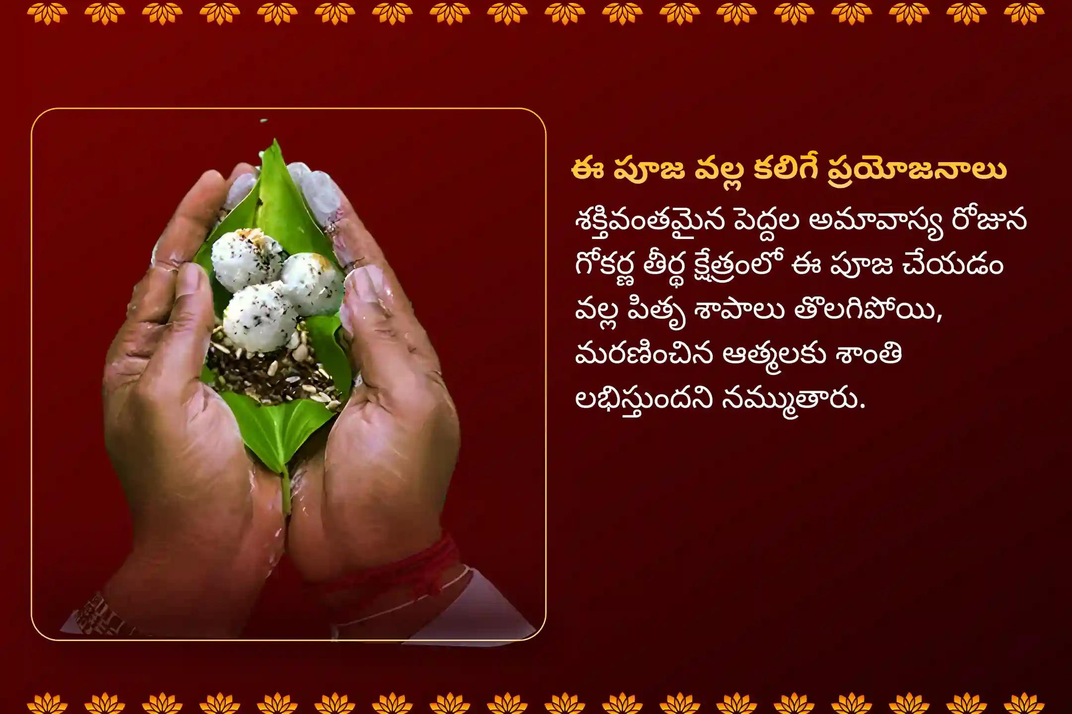  పితృ శాపాల నుండి విముక్తి, మరణించిన ఆత్మలకు శాంతి కోసం మహాలయ పితృ పక్ష నారాయణ బలి ప్రత్యేక నారాయణ బలి, త్రిపిండి శ్రాద్ధం మరియు తిల హోమాలలో పాల్గొనండి.