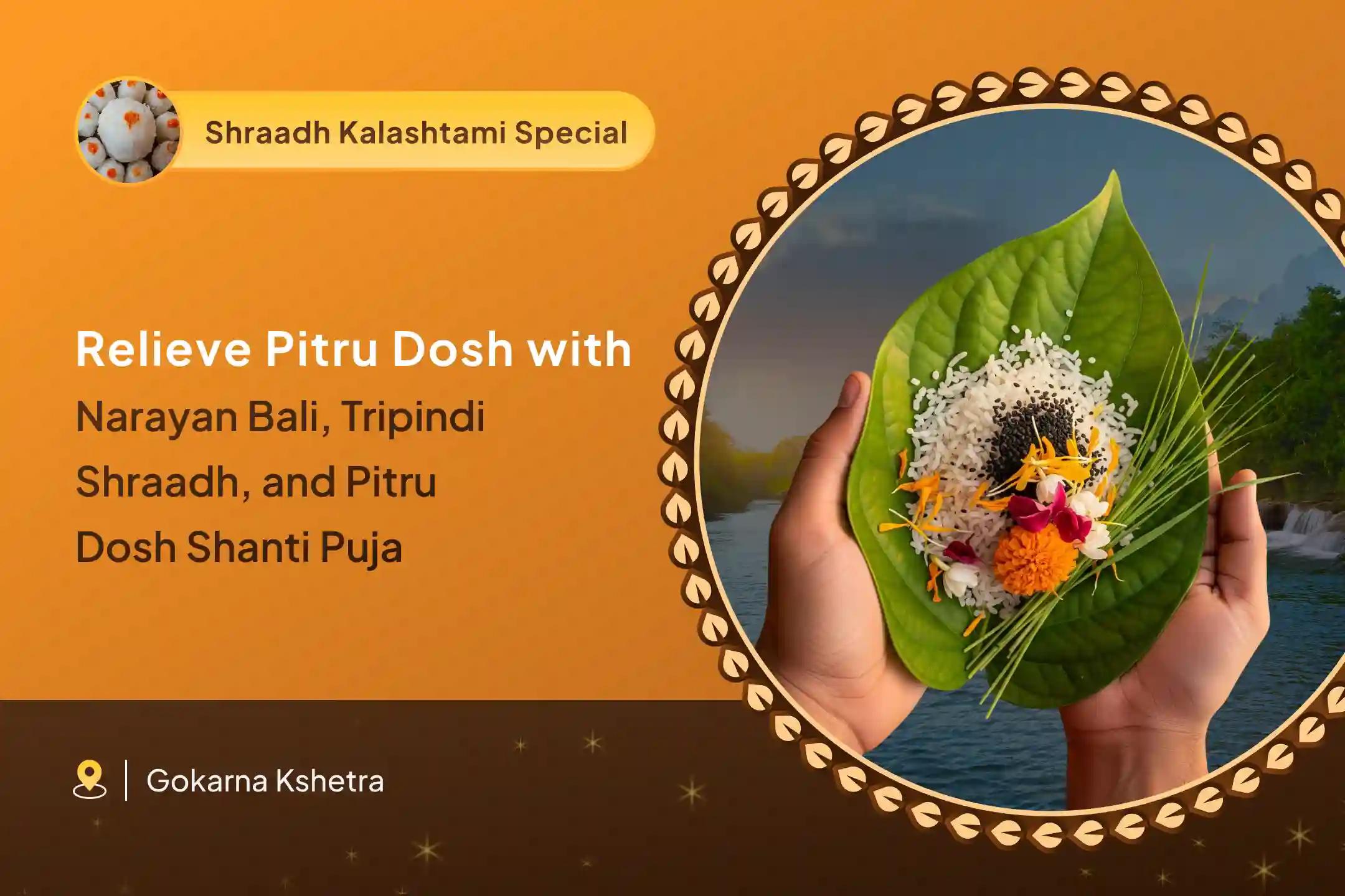 Pitru Paksh Narayan Bali Special Narayan Bali Puja, Tripindi Shraadh Pitru Dosh Shanti Puja to Seek Relief from Ancestral Curses and Bring Peace to Departed 