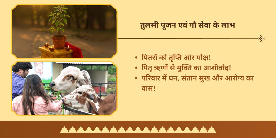पितृ पक्ष एकादशी पितृ ऋण मुक्ति गौ सेवा एवं तुलसी पूजन