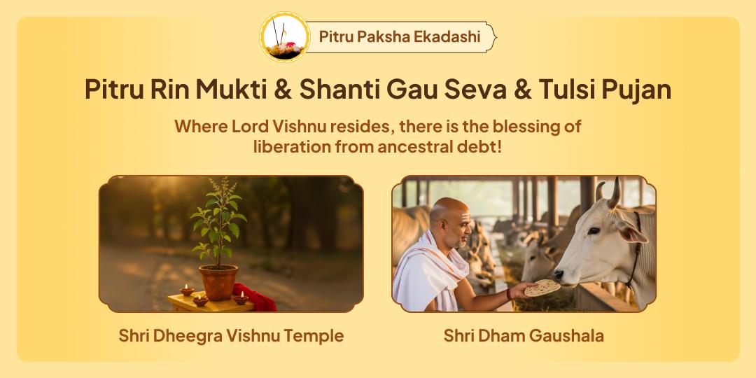On this year’s most powerful Ekadashi; receive the divine grace of Shri Vishnu through Mathura Tulsi Pujan and Gauseva; the land where Krishna too had performed Gauseva!