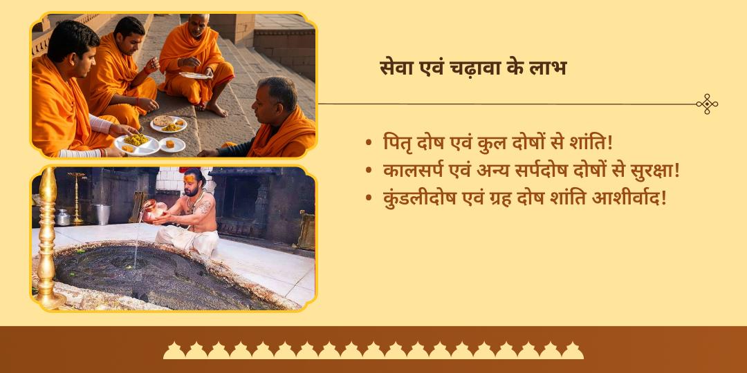 पितृ पक्ष द्वादशी नासिक त्र्यंबकेश्वर ज्योतिर्लिंग चढ़ावा एवं ब्राह्मण सेवा