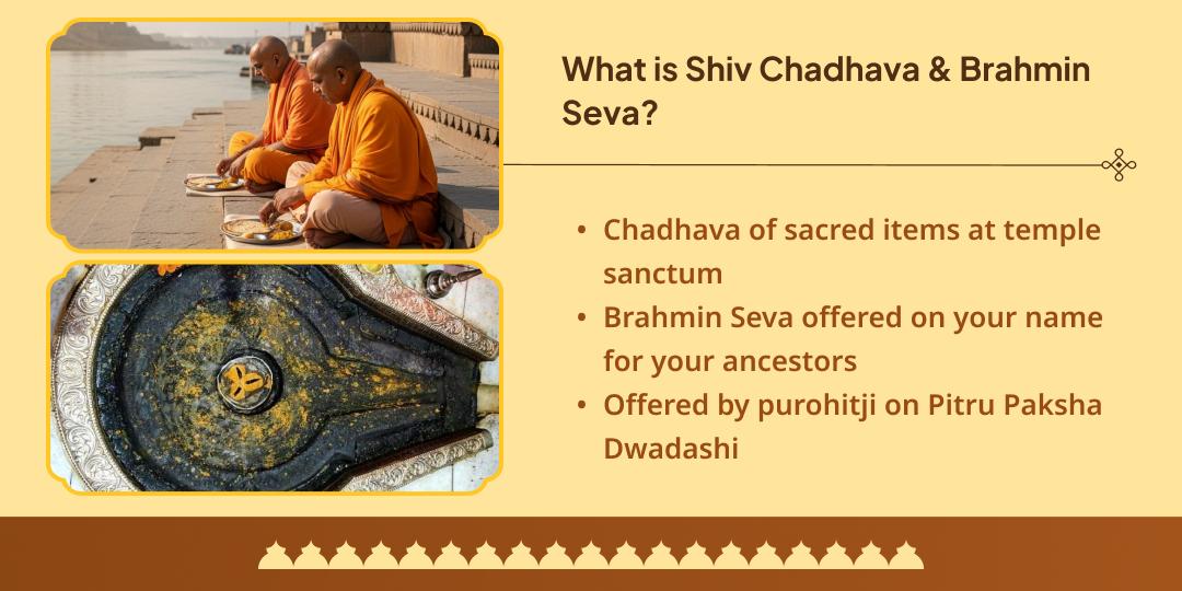 Pitru Paksha Dwadashi Nashik Trimbakeshwar Jyotirling Chadhava & Brahmin Seva