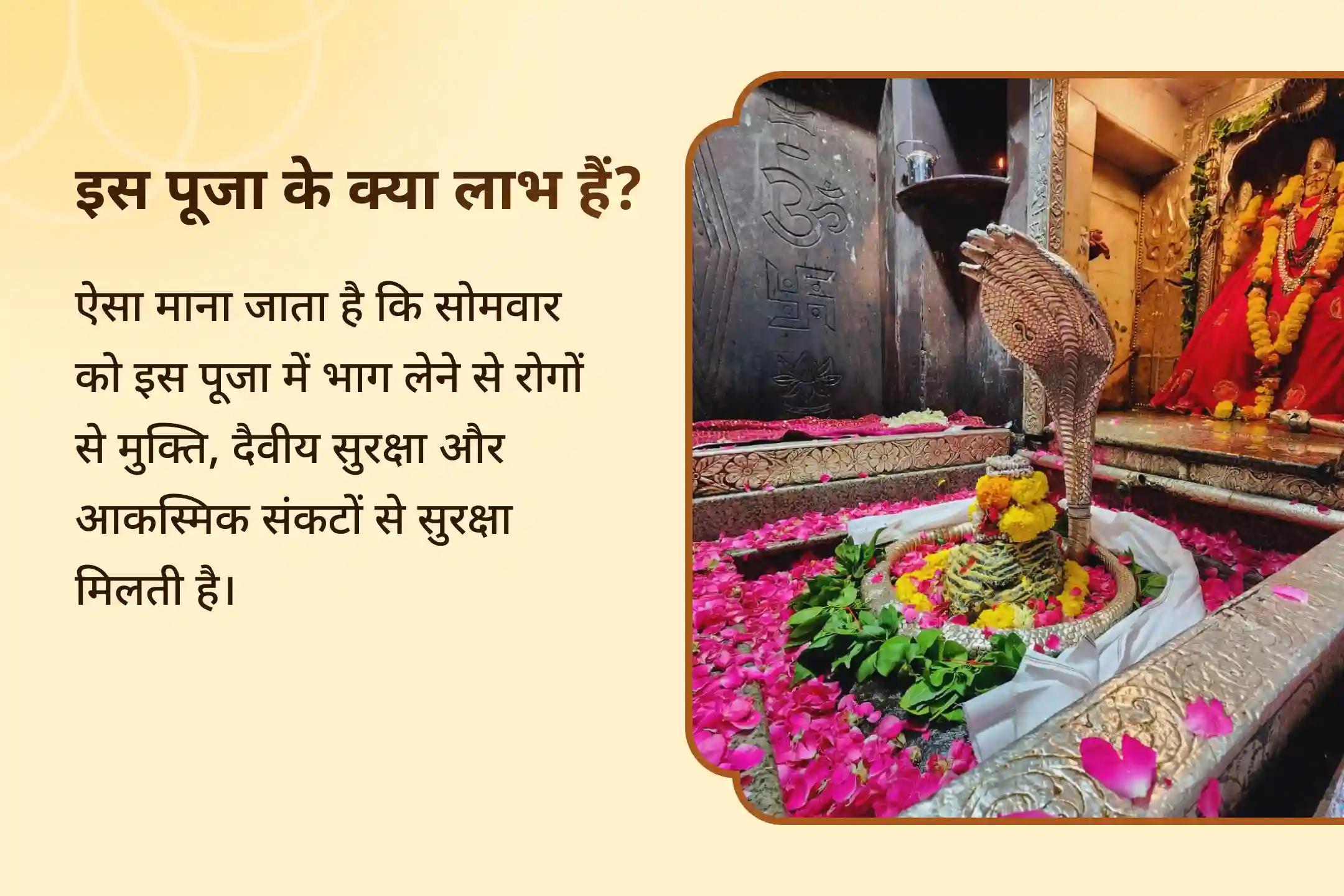 आरोग्य, अच्छे स्वास्थ्य और बीमारियों से मुक्ति के आशीर्वाद के लिए नवरात्रि सप्तमी ओंकारेश्वर विशेष 11,000 महामृत्युंजय मंत्र जाप एवं आरोग्य मूर्ति धन्वंतरि शक्ति हवन