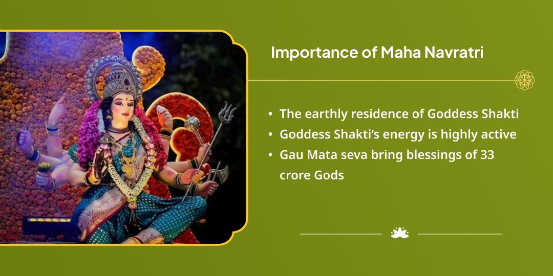 Maha Navratri Sarva Teerthamayi Krishna Nagari Vrindavan Gau Seva