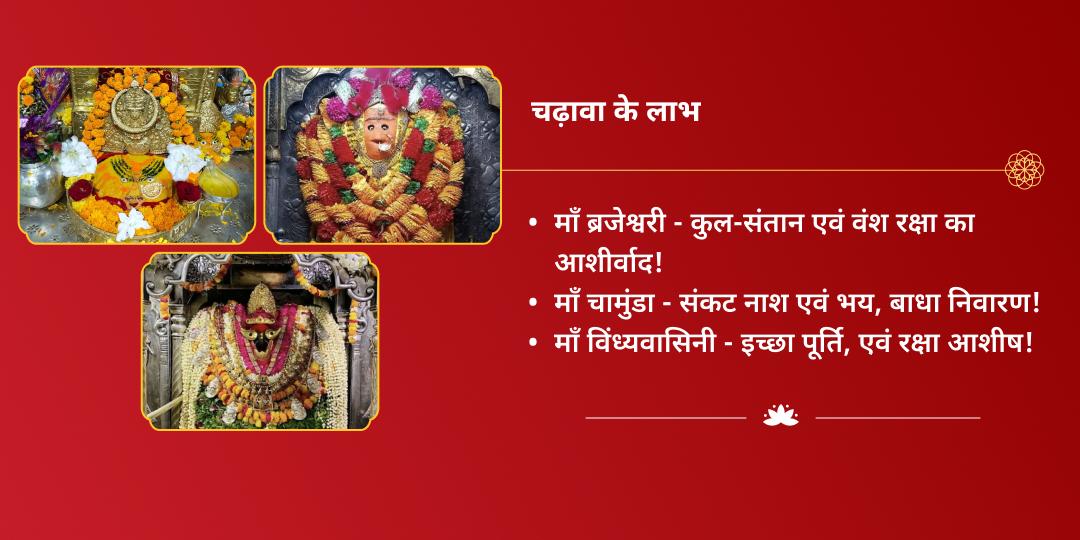 महा नवरात्रि विंध्यवासिनी, चामुंडा, ब्रजेश्वरी 3 शक्तिपीठ चुनरी-नारियल चढ़ावा
