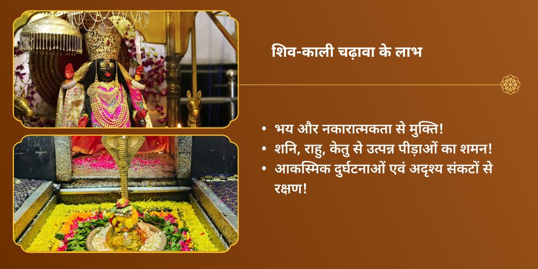 नवरात्रि महासप्तमी महाविद्या भद्रकाली एवं ओंकारेश्वर ज्योतिर्लिंग चढ़ावा