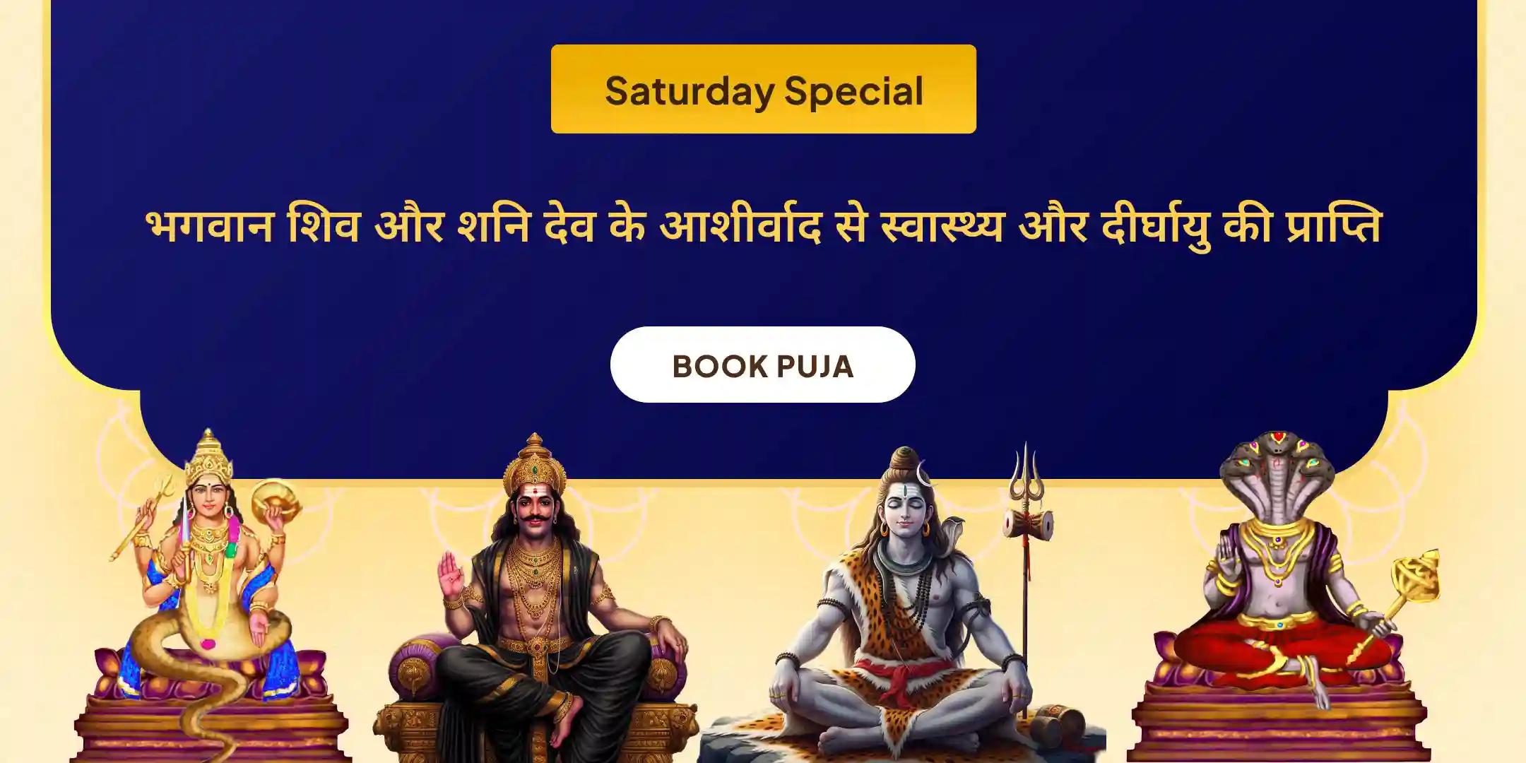 राहु केतु शांति पूजा और शिव रुद्राभिषेक