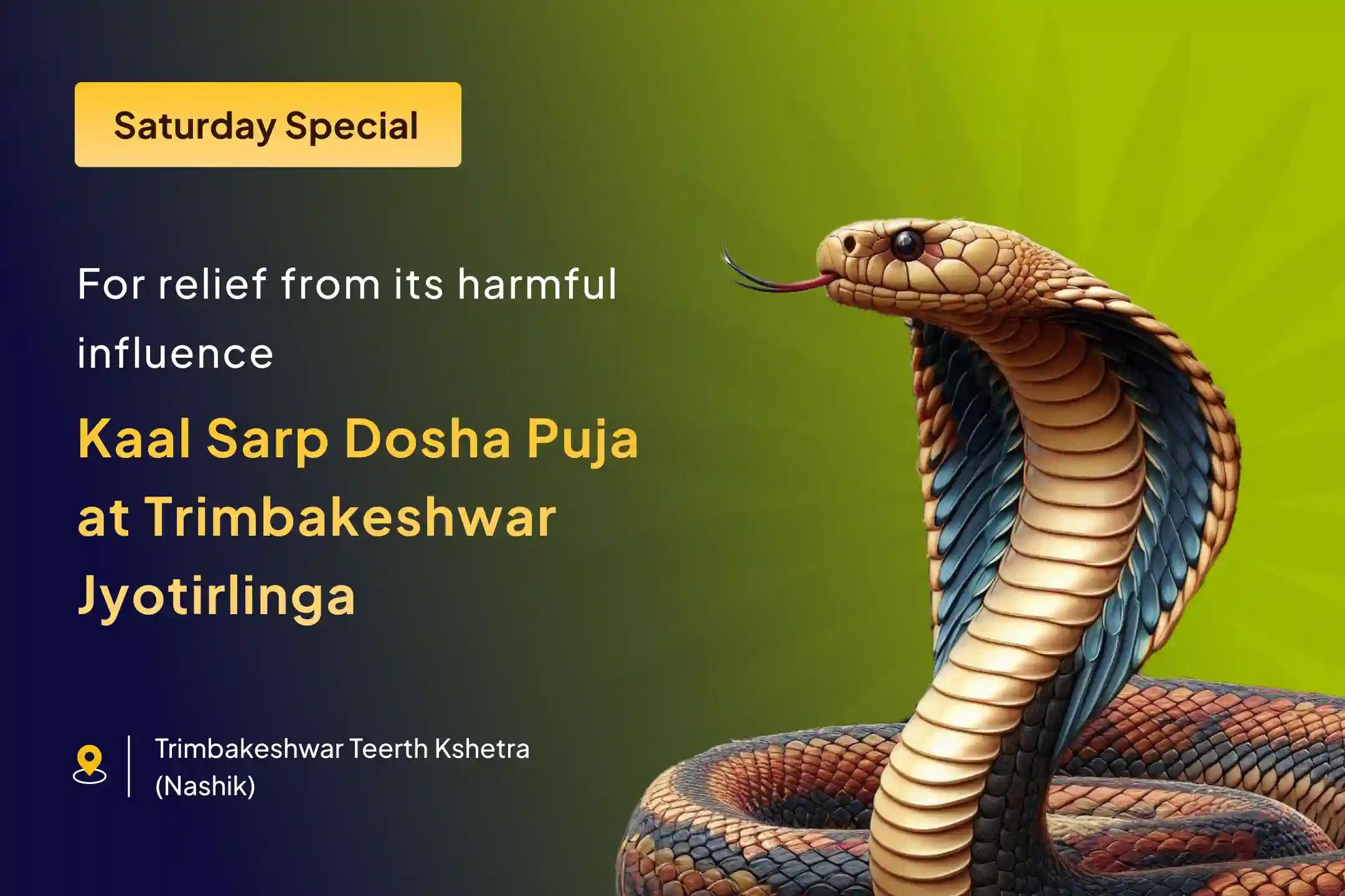 🐍 Rahu-Ketu Shanti Sarp Dosha Special – Break Free from Fear & Mental Restlessness 🙏✨