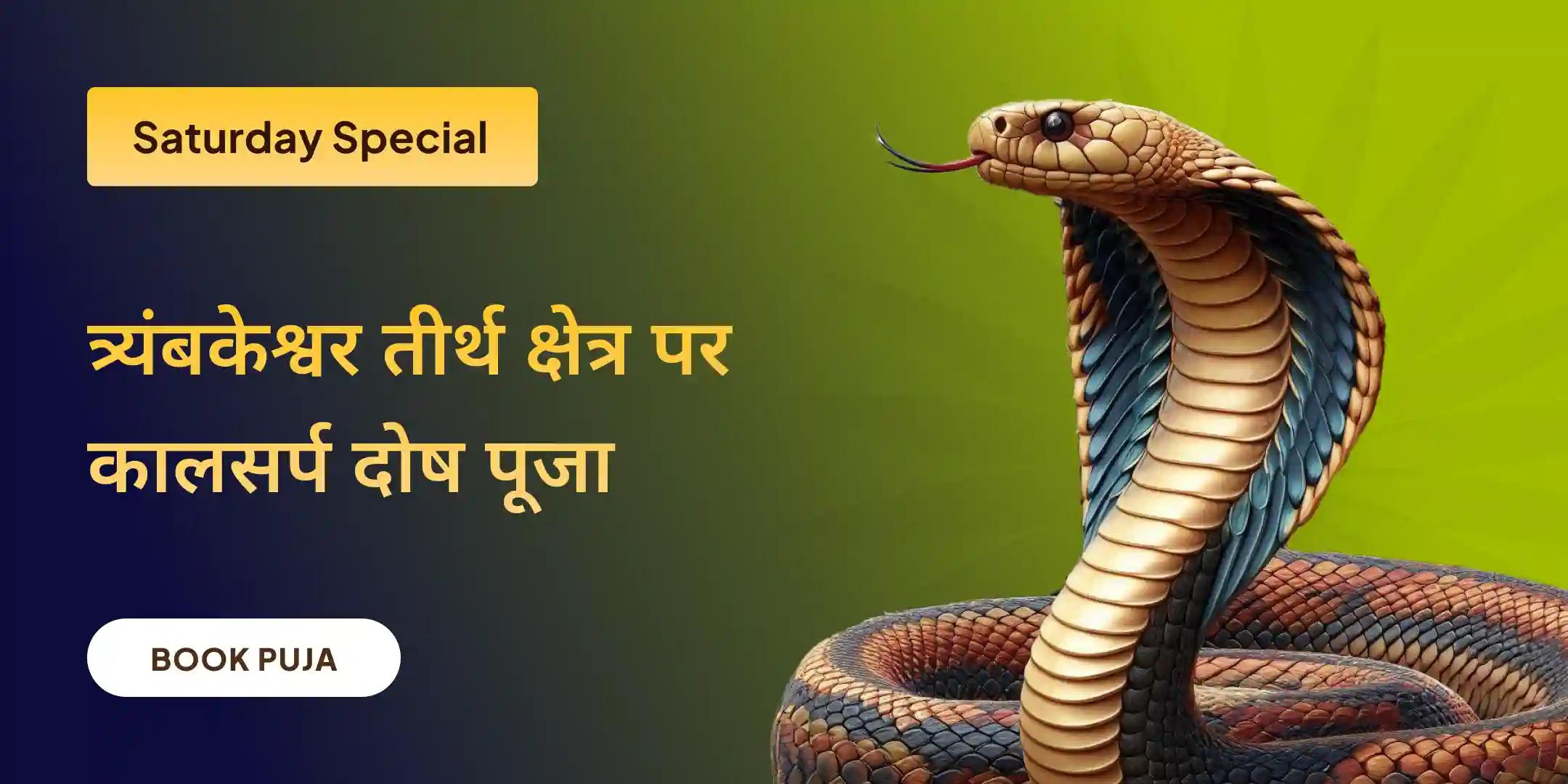 काल सर्प दोष पूजा और राहु-केतु शांति पूजा