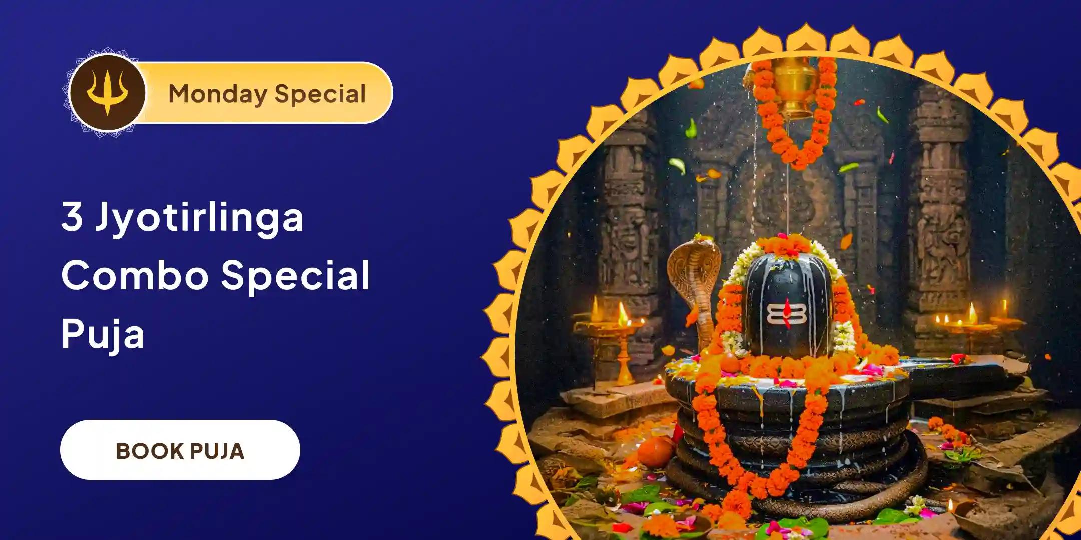 3 -  Jyotirlinga - Trimbakeshwar, Omkareshwar and Ghrishneshwar Rudrabhishek and Rudra Homam