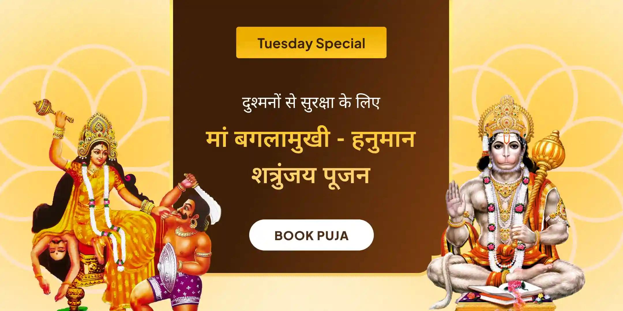 माँ बगलामुखी शत्रु बुद्धि विनाशिनी यज्ञ एवं हनुमान शत्रुंजय पूजन