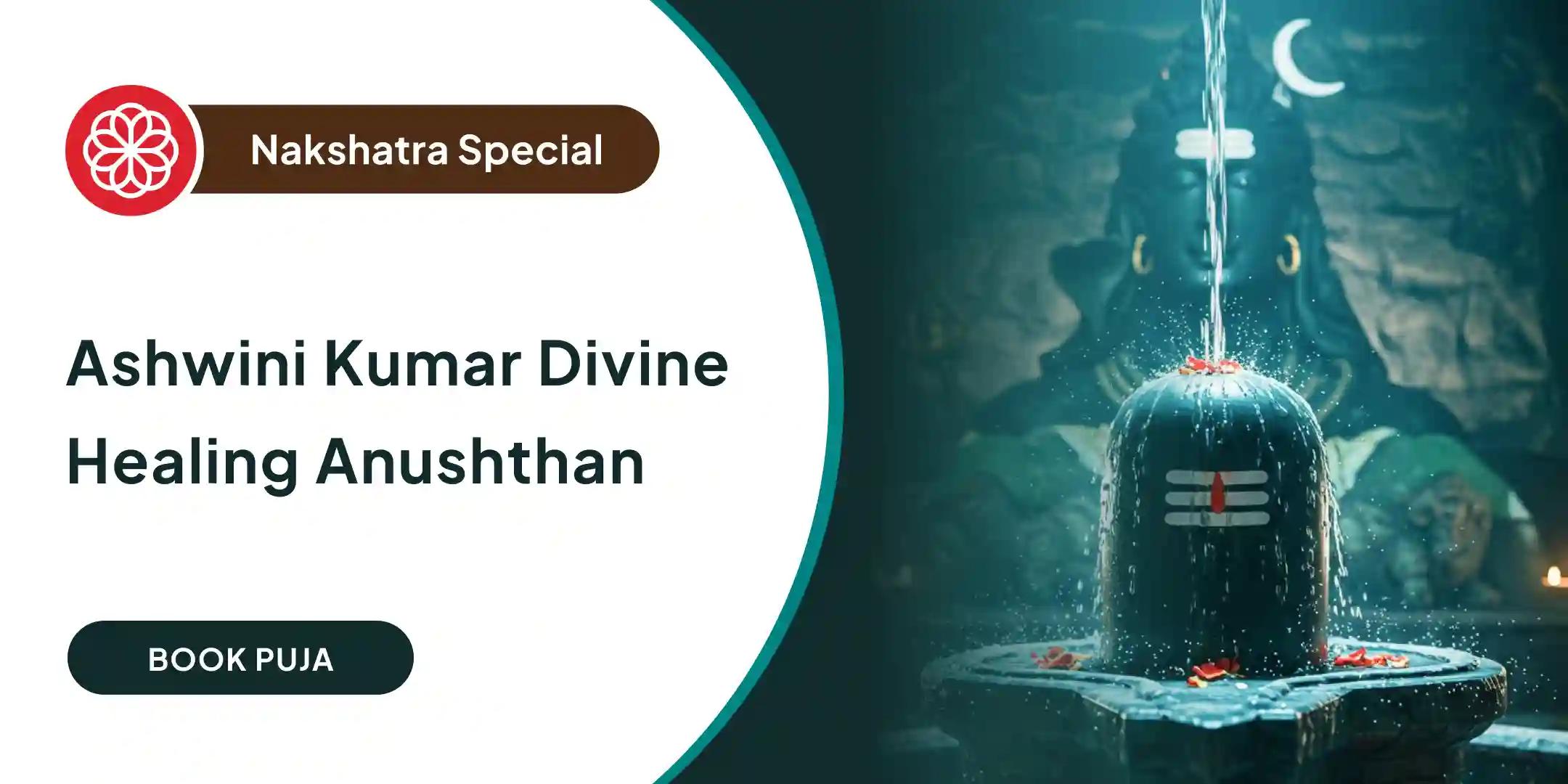 Ashwini Kumar Healing Puja with 108 Aushadhi Havan and 11,000 Mrityunjaya Jaap