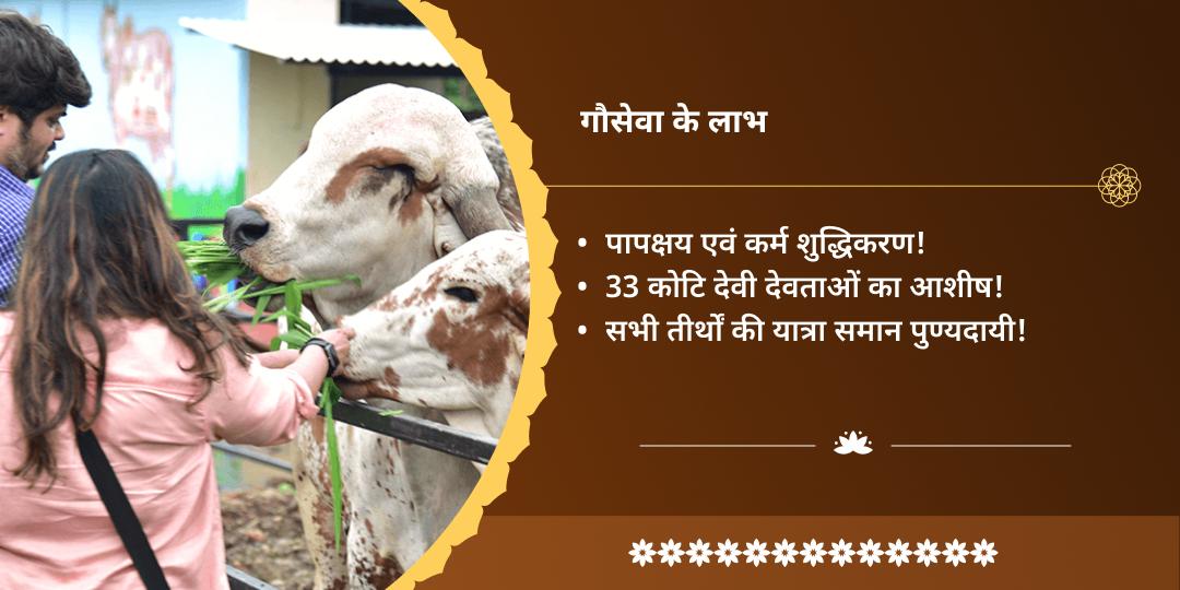 शरद पूर्णिमा तीर्थराज प्रयाग त्रिवेणी संगम अमृत प्राप्ति गौ सेवा