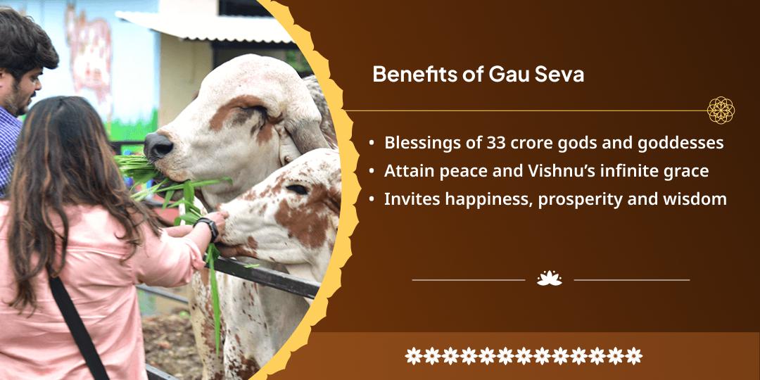Sharad Purnima Teerthraj Prayag Triveni Sangam Amrit Prapti Gau Seva