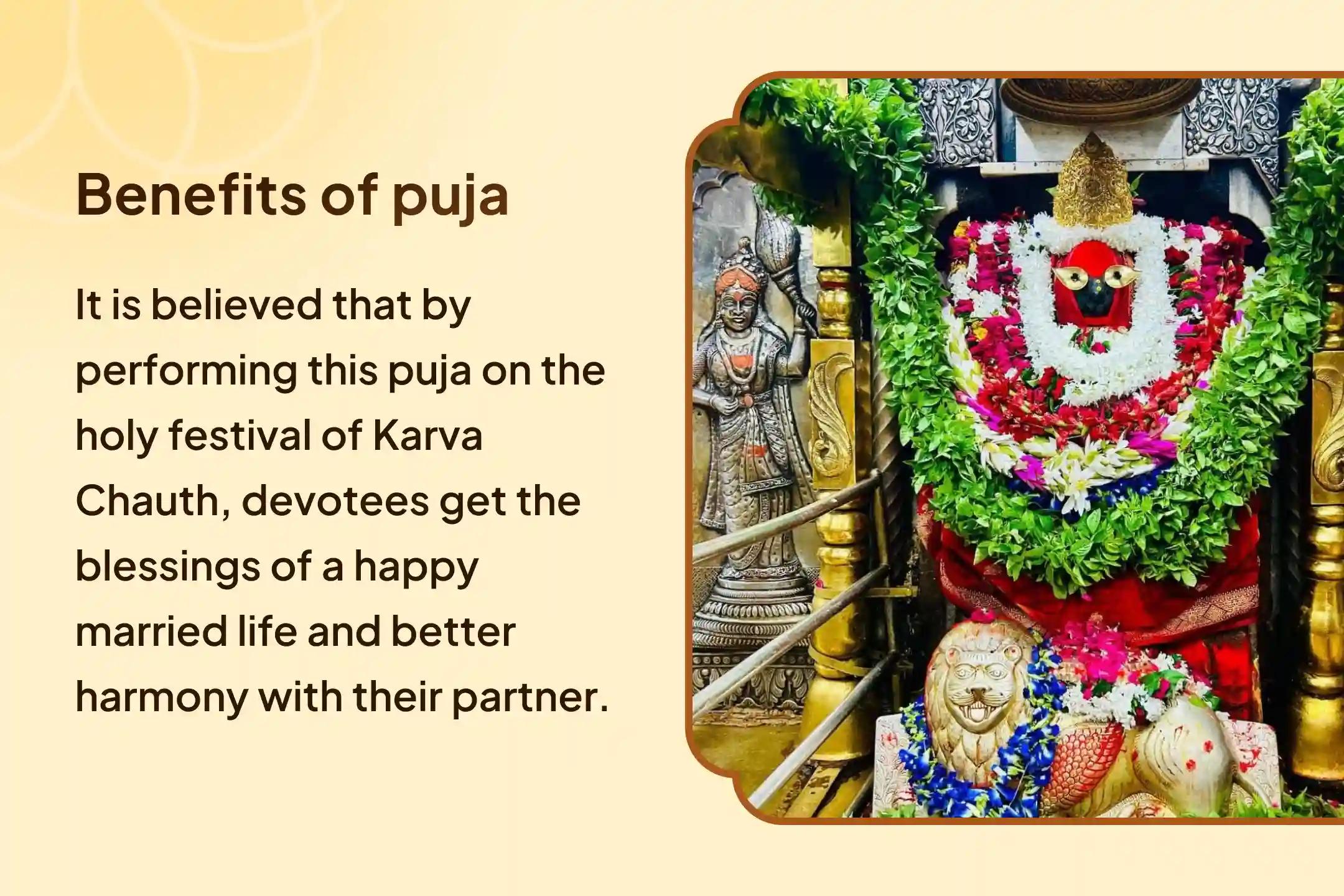🌷 It is believed that with this divine worship at Maa Vindhyavasini Shaktipeeth, the Karva Chauth puja can become more fruitful...