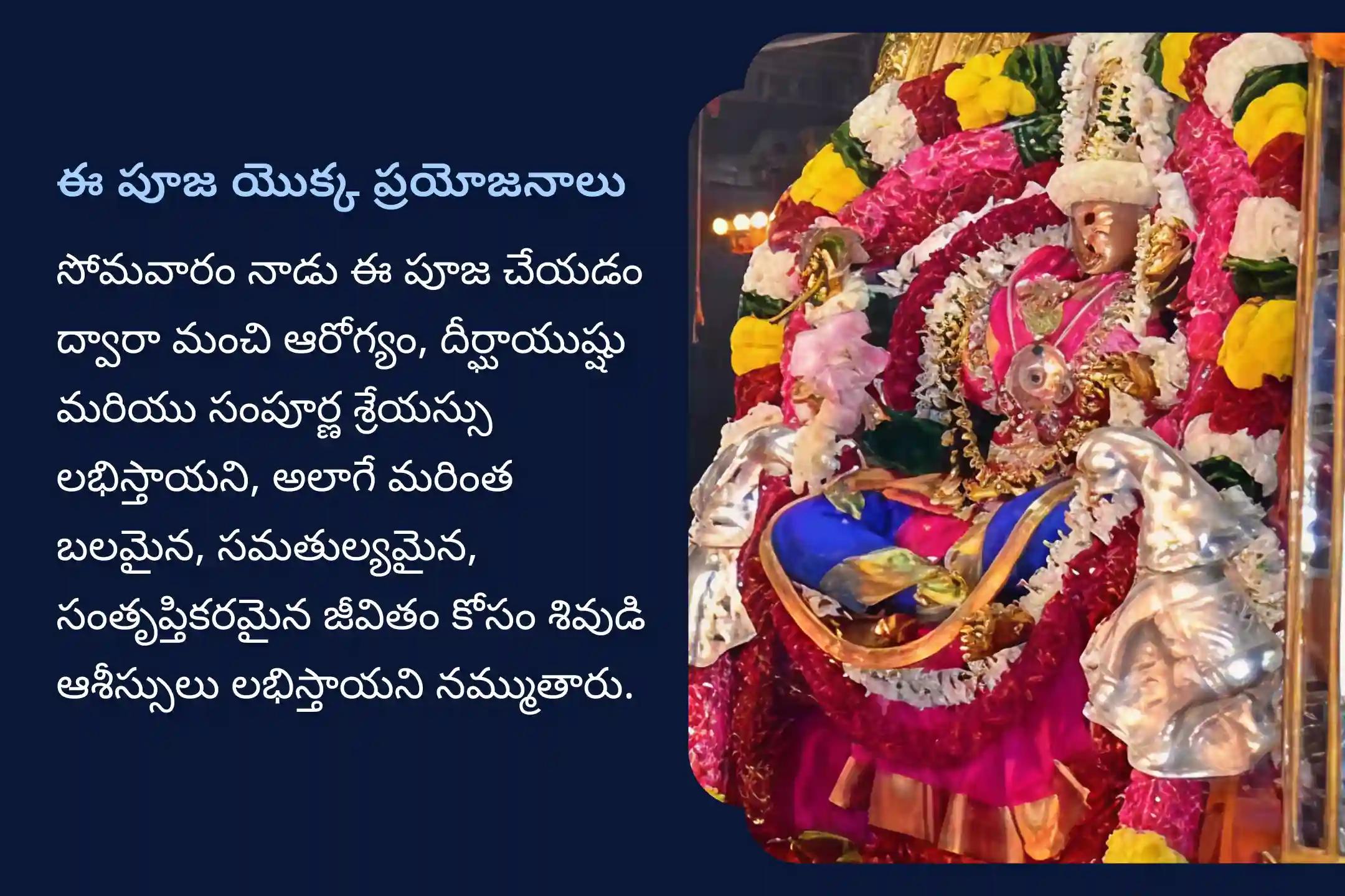 మంచి ఆరోగ్యం మరియు దీర్ఘాయువు యొక్క ఆశీర్వాదాలు పొందడానికి అరుణాచలం క్షేత్రం సోమవారం ప్రత్యేక అరుణాచలం క్షేత్ర శివ రుద్రాభిషేకం మరియు రుద్ర హోమంలో పాల్గొనండి