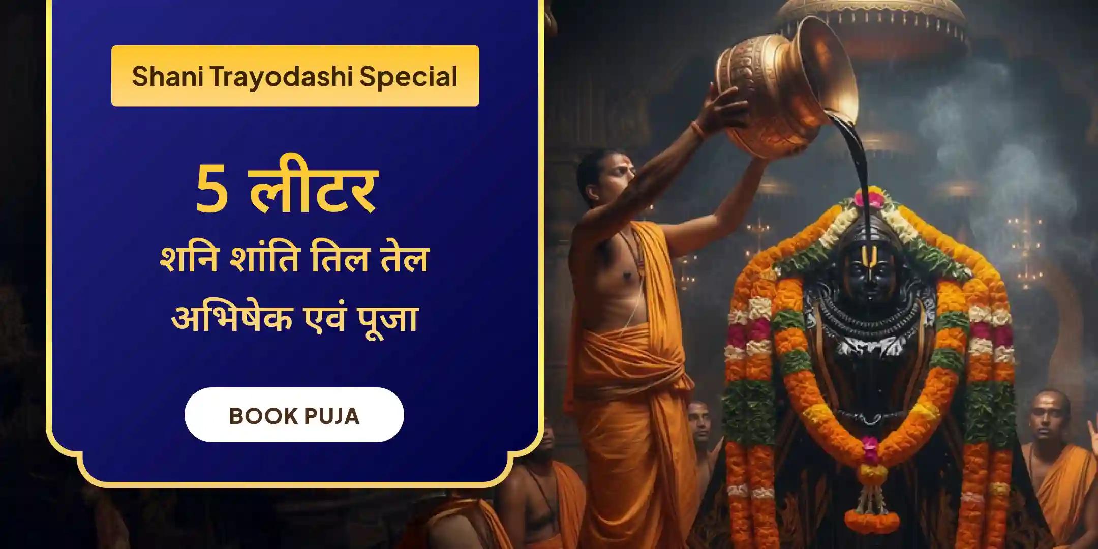 5 लीटर शनि शांति तिल तेल अभिषेक और शनि शांति पूजा