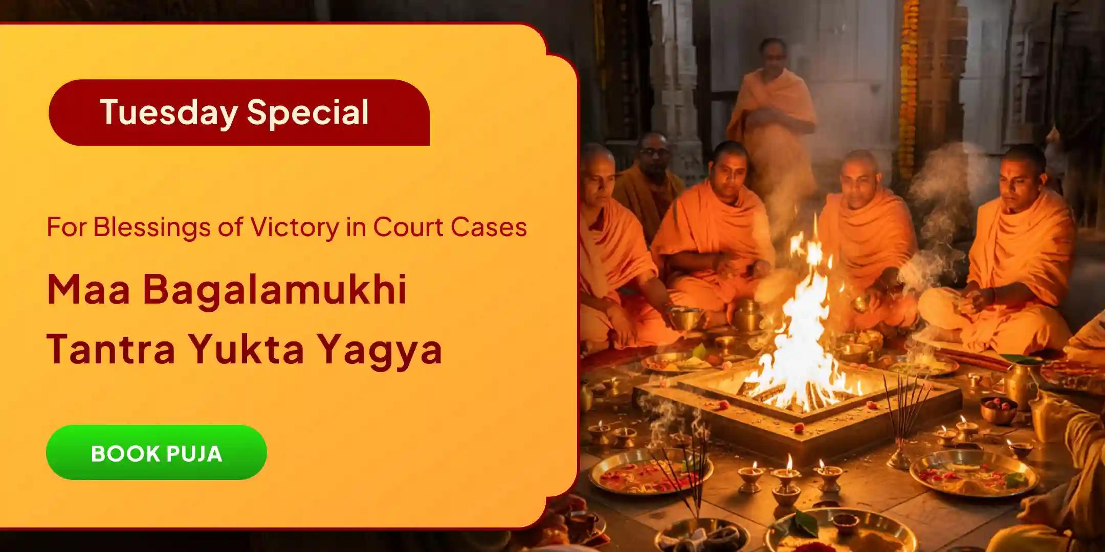 Maa Bagalamukhi Tantra Yukta Havan and Yantra Shodashopachara Kumkum Abhishek For Victory in Court Cases and Victory over Enemies