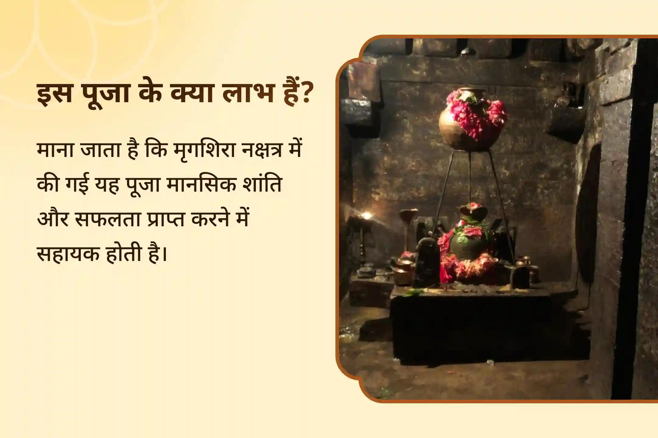 राहु नक्षत्र विशेष राहु शांति जाप और हवन में भाग लेकर मानसिक शांति और सफलता के आशीर्वाद प्राप्त करें।