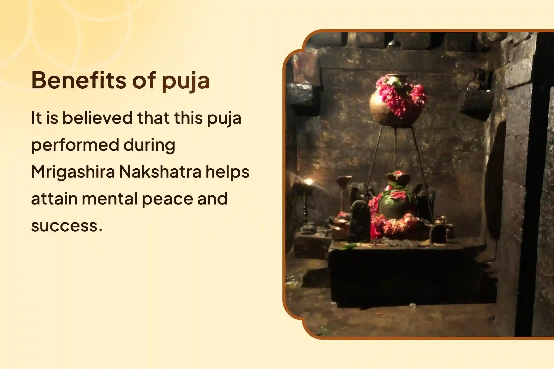 Participate in the Nakshatra of Rahu Special: Rahu Shanti Jaap and Havan for blessings of mental stability and success