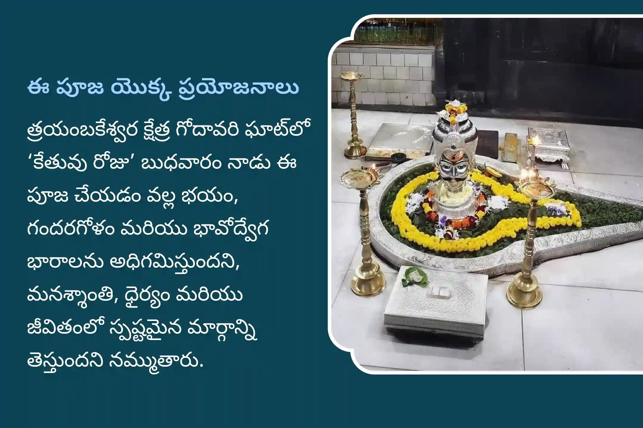 నిర్భయత మరియు మానసిక స్థిరత్వాన్ని సాధించడం కోసం బుధవారం కాల సర్ప త్రయంబకేశ్వర గోదావరి క్షేత్రం ప్రత్యేక కాల సర్ప దోష శాంతి పూజలో పాల్గొనండి.