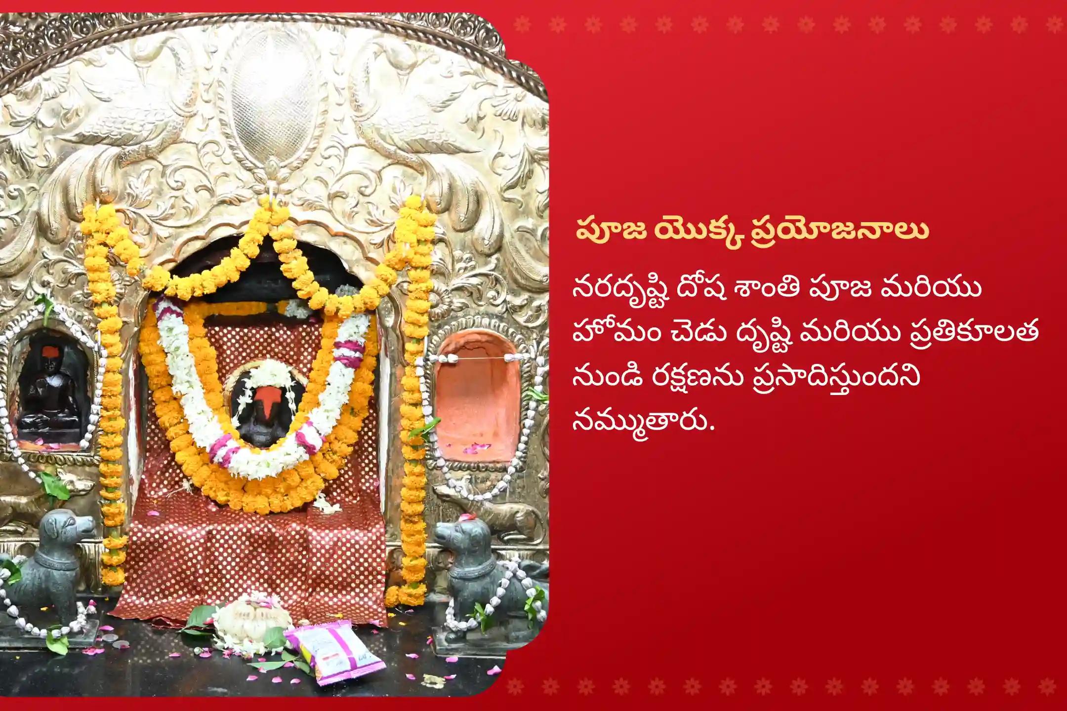 నరదిష్టి దోషాన్ని మరియు ప్రతికూల శక్తిని తిప్పికొట్టడానికి నరదృష్టి నివారణ కాశీ ప్రత్యేక నరదృష్టి శాంతి పూజ మరియు హోమంలో పాల్గొనండి