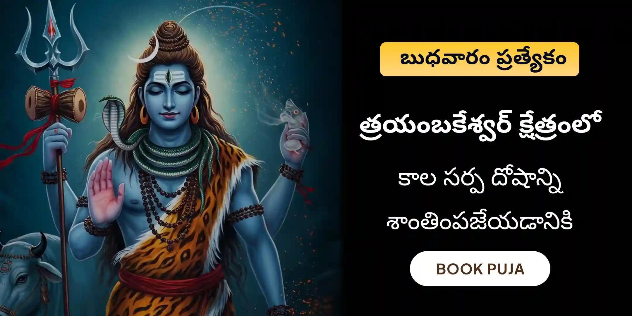 త్రయంబకేశ్వర క్షేత్రంలో కాల సర్ప దోష శాంతి పూజ
