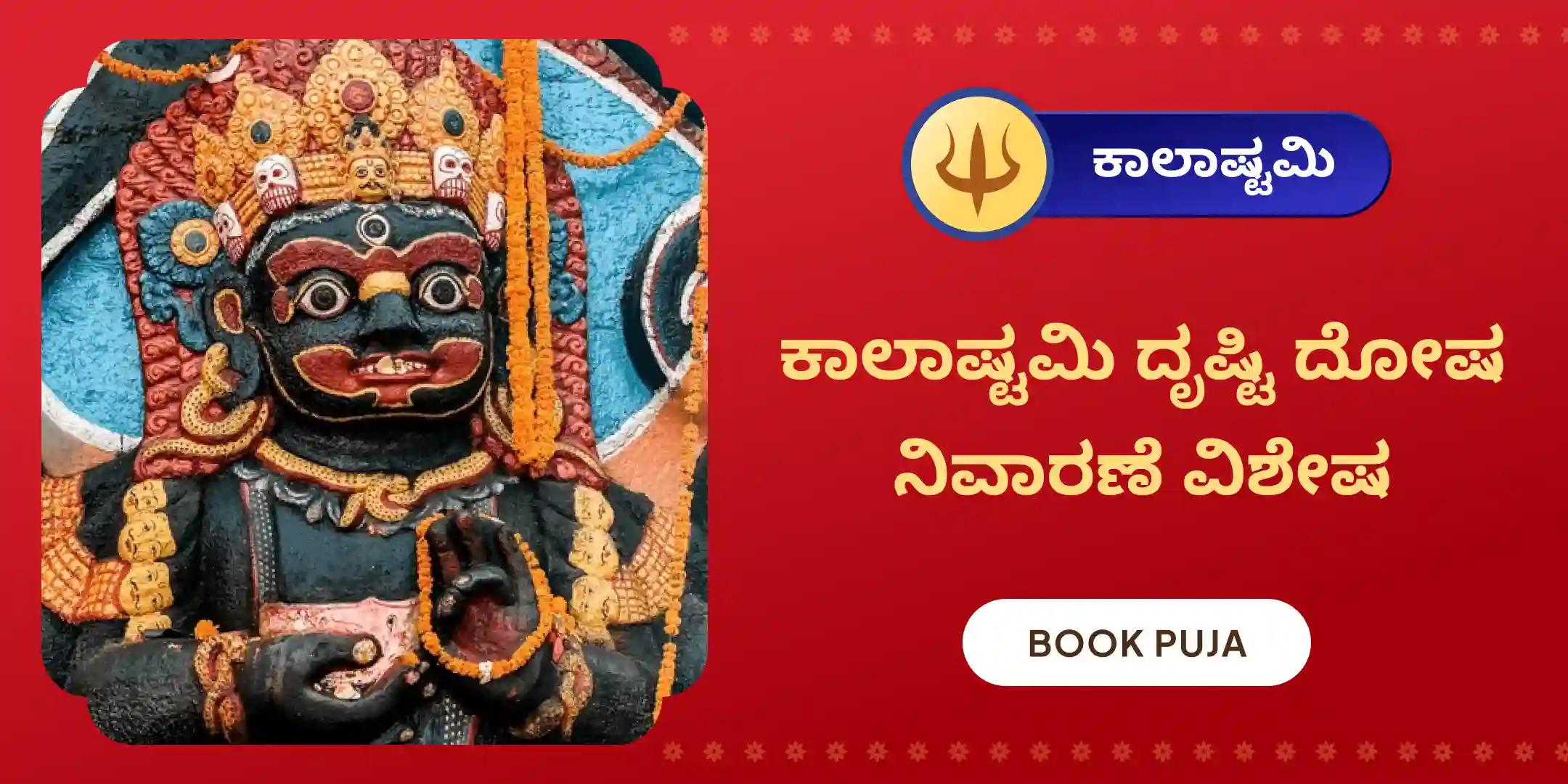 ದೃಷ್ಟಿ ದೋಷ ಶಾಂತಿ ಪೂಜೆ ಮತ್ತು ಹೋಮ