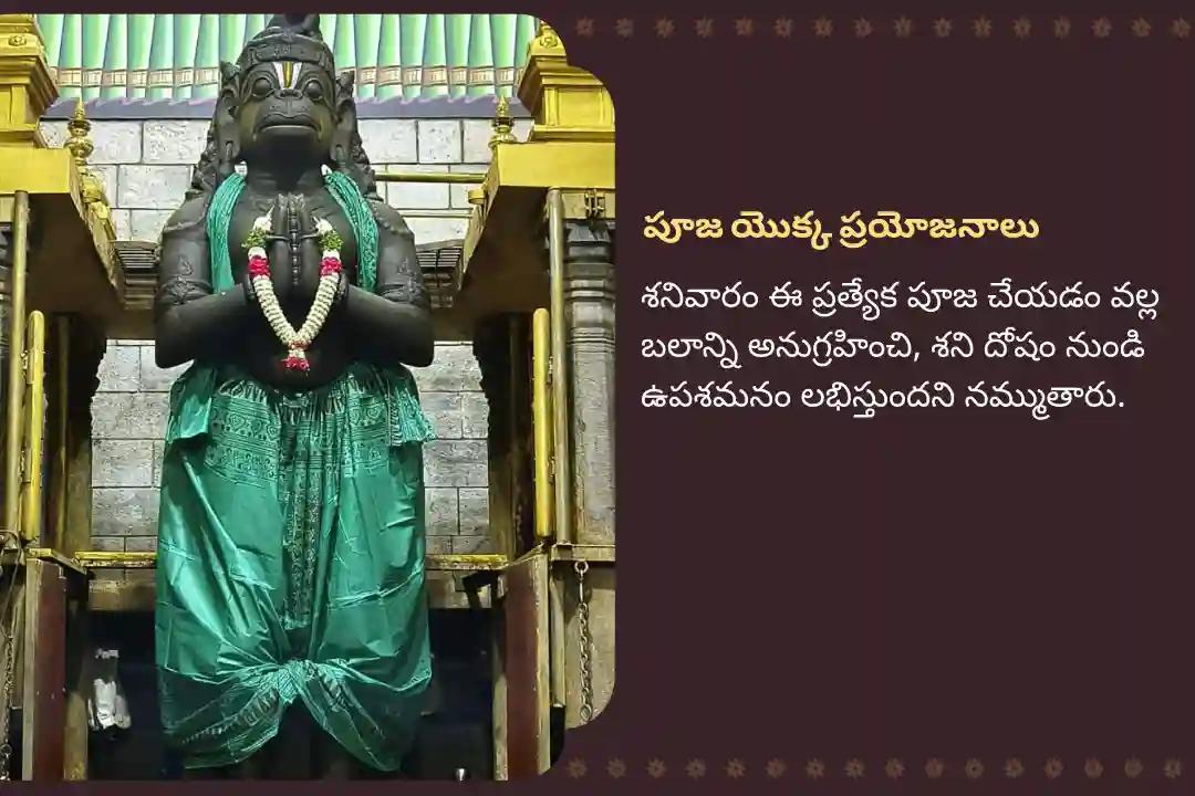 ఆంజనేయ స్వామిని ప్రార్థించి శని నుండి రక్షణ పొందడానికి నామక్కల్ ఆంజనేయ ఆకు పూజ ప్రత్యేక సిందూర అర్చన, ఆకు పూజ, మరియు 108 వడమాల అర్చనలో పాల్గొనండి.