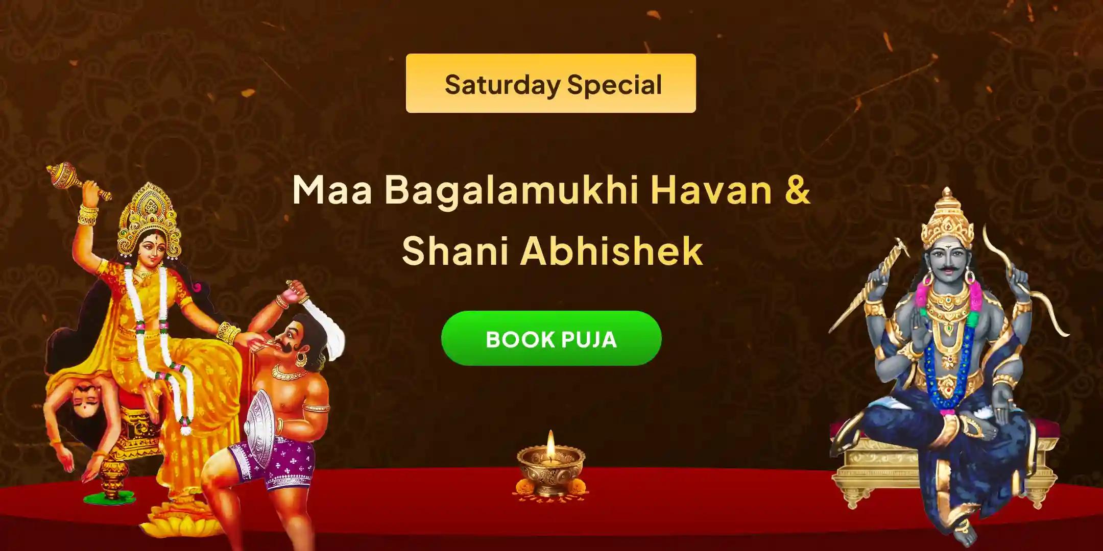 Maa Bagalamukhi Tantra Yukta Havan and Shani Til Tel Abhishek