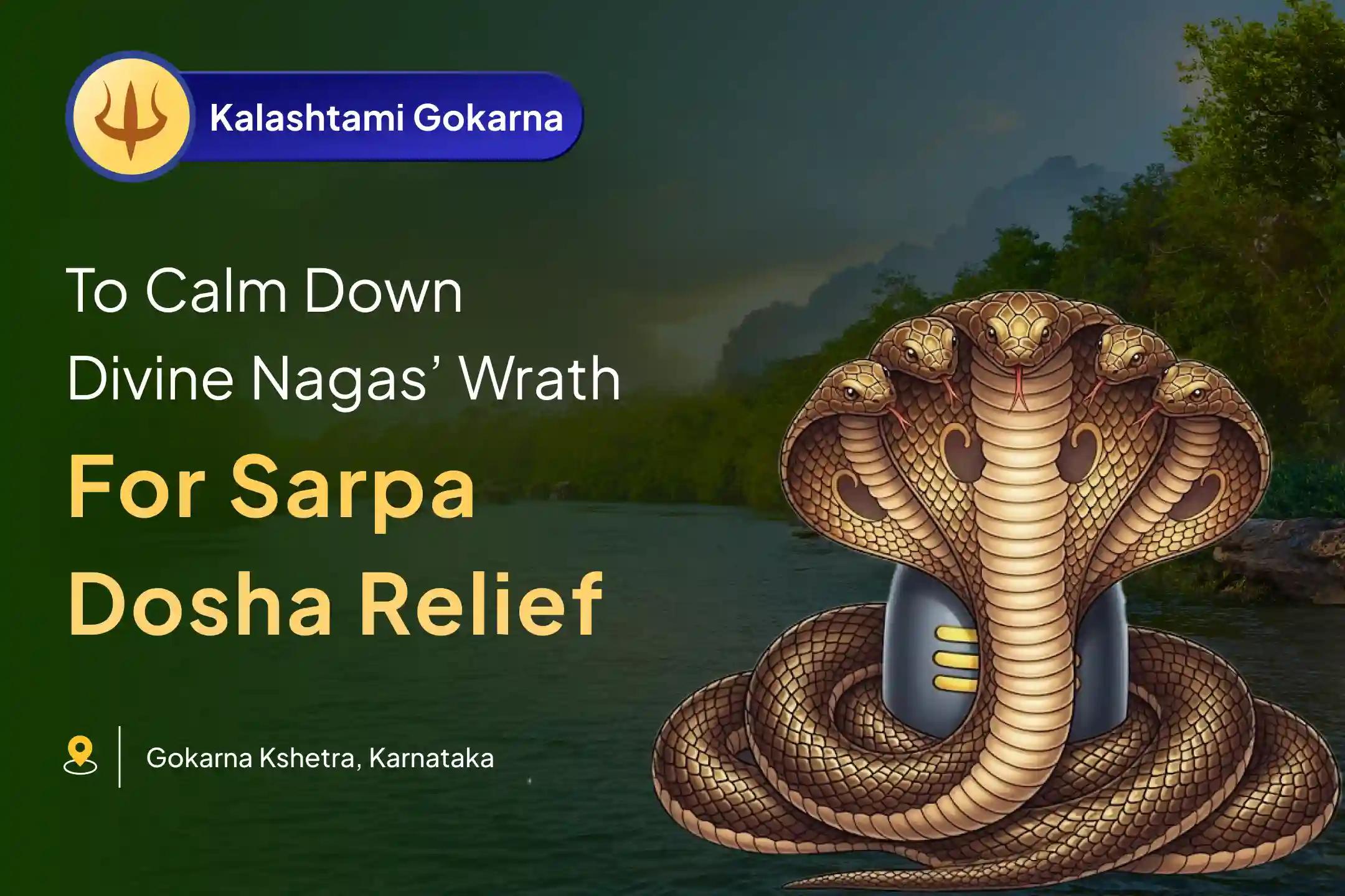 Participate in the Kalashtami Gokarna Kshetra Sarp Dosha Special Naag Bali Puja to get relief from Sarpa Dosha