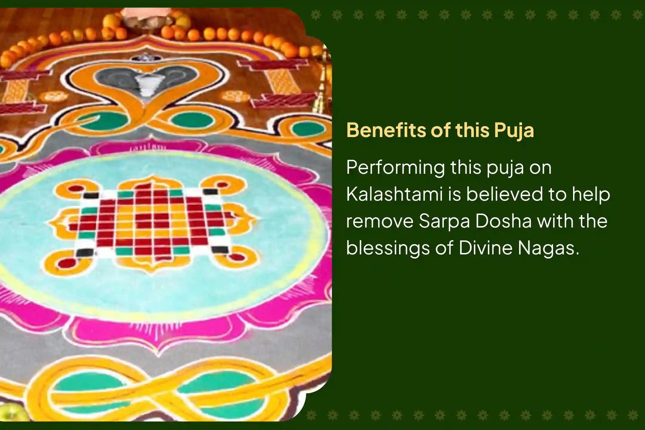 Participate in the Kalashtami Gokarna Kshetra Sarp Dosha Special Naag Bali Puja to get relief from Sarpa Dosha