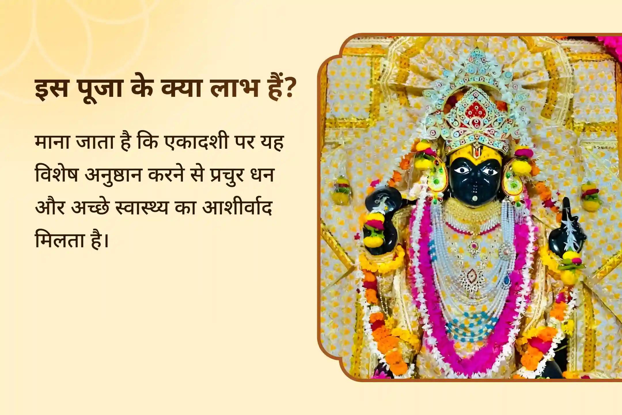 ✨ क्या आप भी 2025 में प्रचुर धन और अच्छे स्वास्थ्य की तलाश में हैं? इस एकादशी पर भगवान विष्णु की कृपा आपके जीवन को शुद्ध कर समृद्धि और शांति का मार्ग प्रशस्त करे।🌸