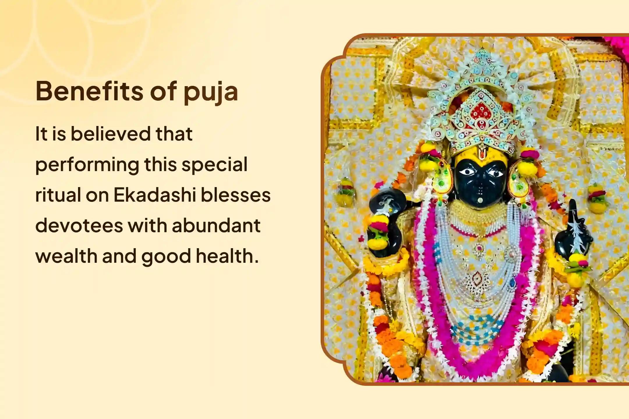 ✨ Are you also seeking abundant wealth and good health in 2025? On this Ekadashi, may the blessings of Lord Vishnu purify your life and open the path to prosperity and peace 🌸