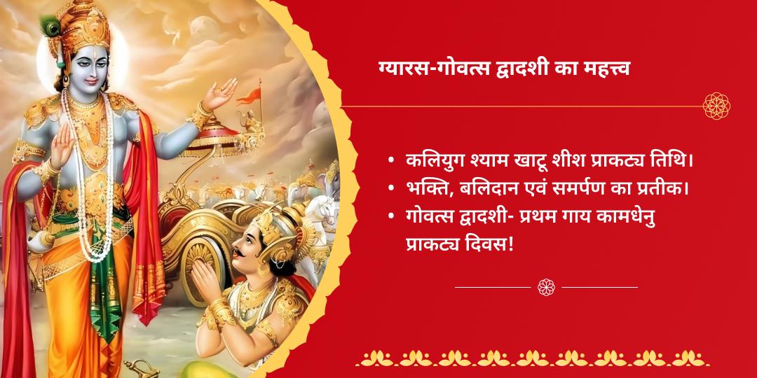 ग्यारस-गोवत्स द्वादशी खाटू एवं श्री कृष्ण द्विमंदिर चढ़ावा एवं गौसेवा