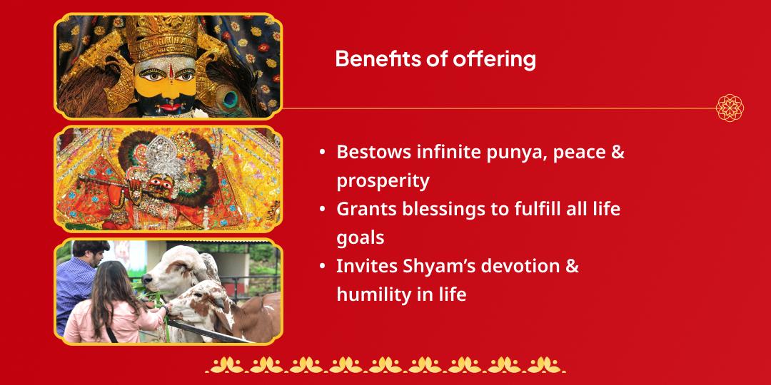 Gyaras-Govats Dwadashi Khatu & Shri Krishna Dual Temple Chadhava & Gauseva