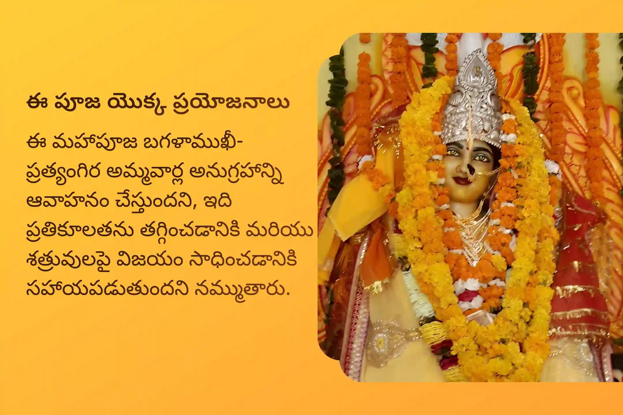 శత్రువులపై మరియు లీగల్ కేసుల్లో విజయవంతమైన ఫలితాల కోసం నరక చతుర్దశి ప్రత్యేక 100 కిలోల ఎర్ర మిరపకాయలతో అగ్ని ఆహుతి మహా హోమం, బగళాముఖీ-ప్రత్యంగిర పూజలో పాల్గొనండి.