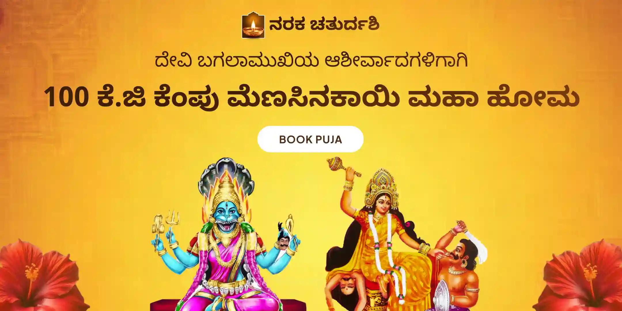 100 ಕೆ.ಜಿ ಕೆಂಪು ಮೆಣಸಿನಕಾಯಿ ಅಗ್ನಿ ಆಹುತಿ ಮಹಾ ಹೋಮ, 1.25 ಲಕ್ಷ ಮೂಲ ಮಂತ್ರ ಜಪದೊಂದಿಗೆ ಬಗಲಾಮುಖಿ-ಪ್ರತ್ಯಂಗಿರಾ ಪೂಜ