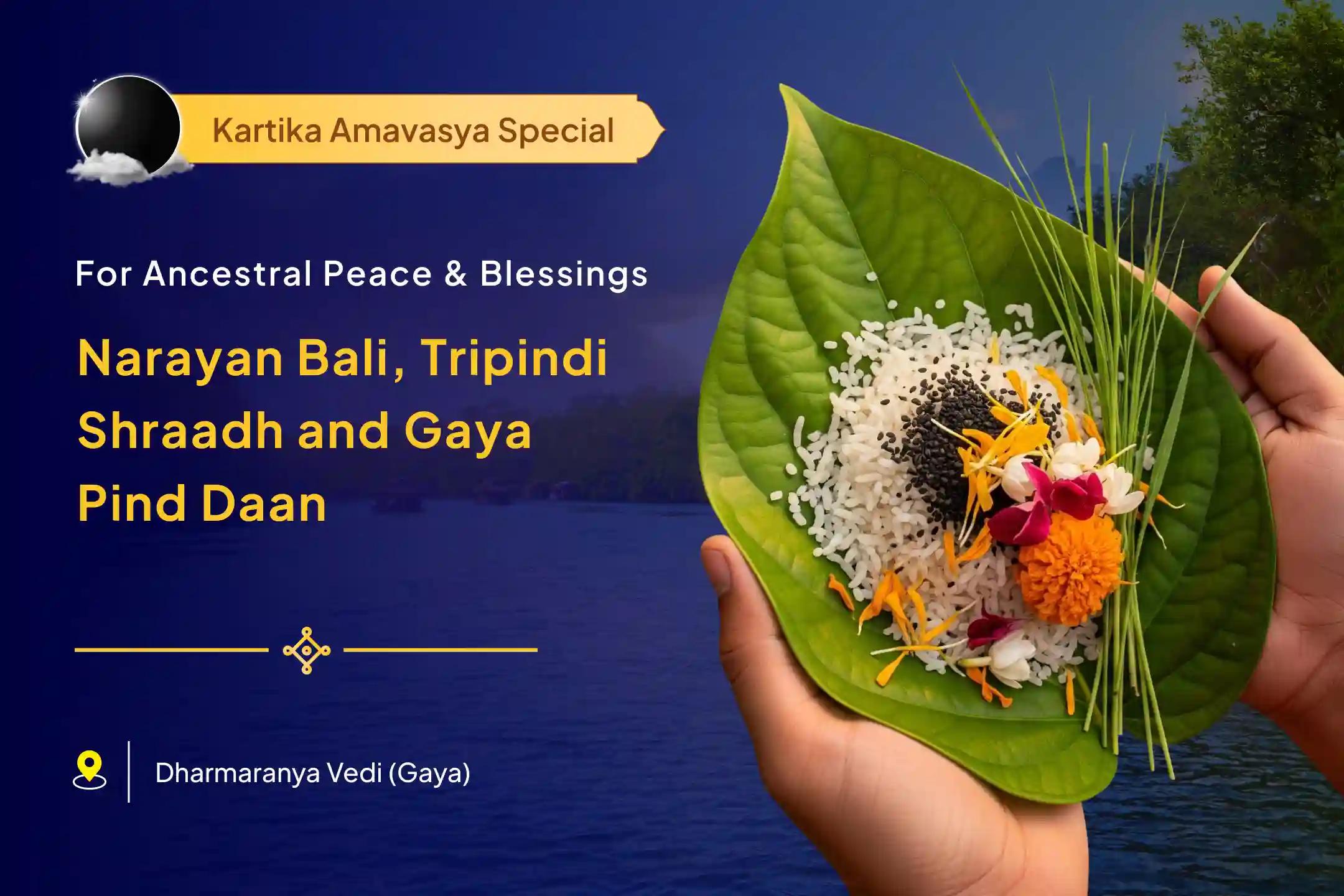 Want to Free Your Family from Pitru Dosha and Gain Ancestral Blessings? Learn Why This Amavasya is the Right Time to Act  ✨