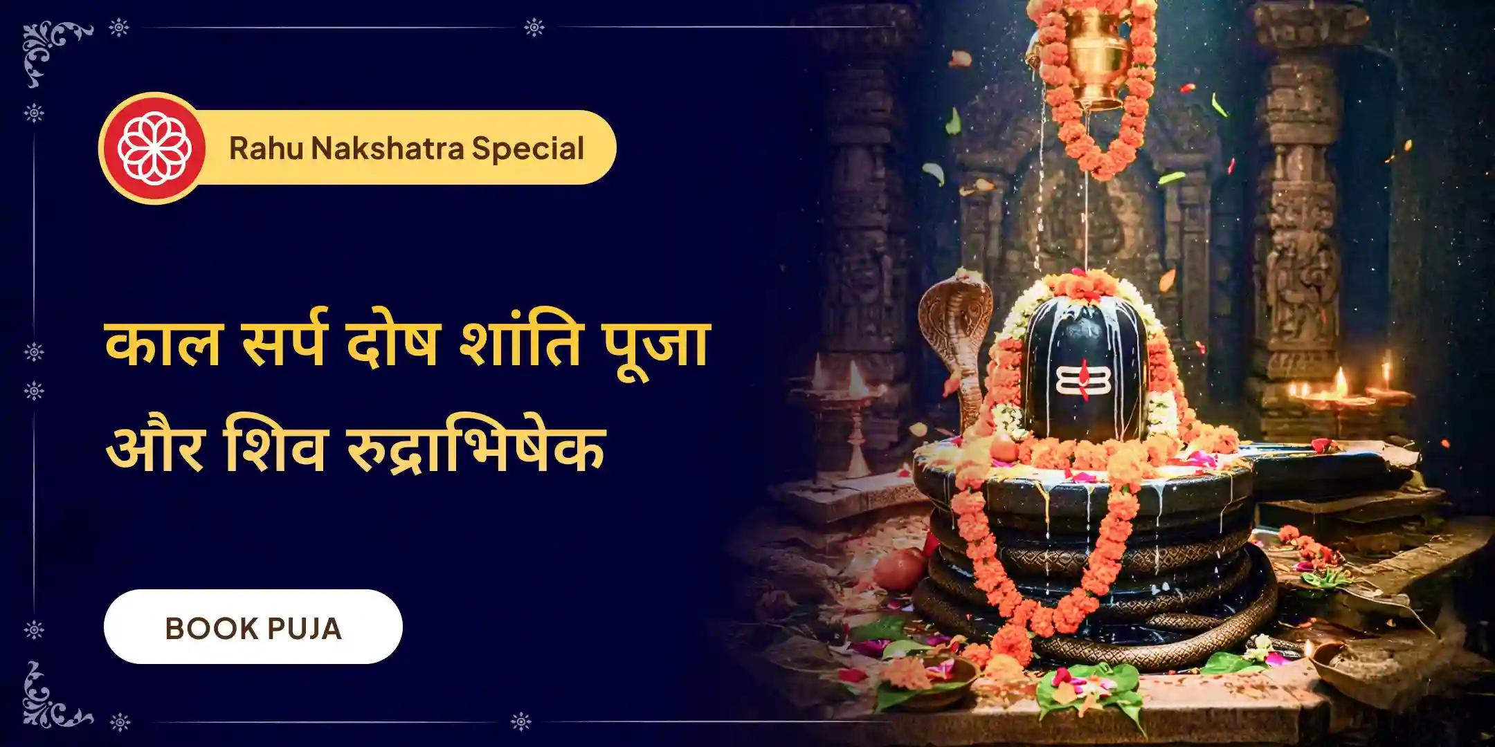 काल सर्प दोष शांति पूजा एवं शिव रुद्राभिषेक
