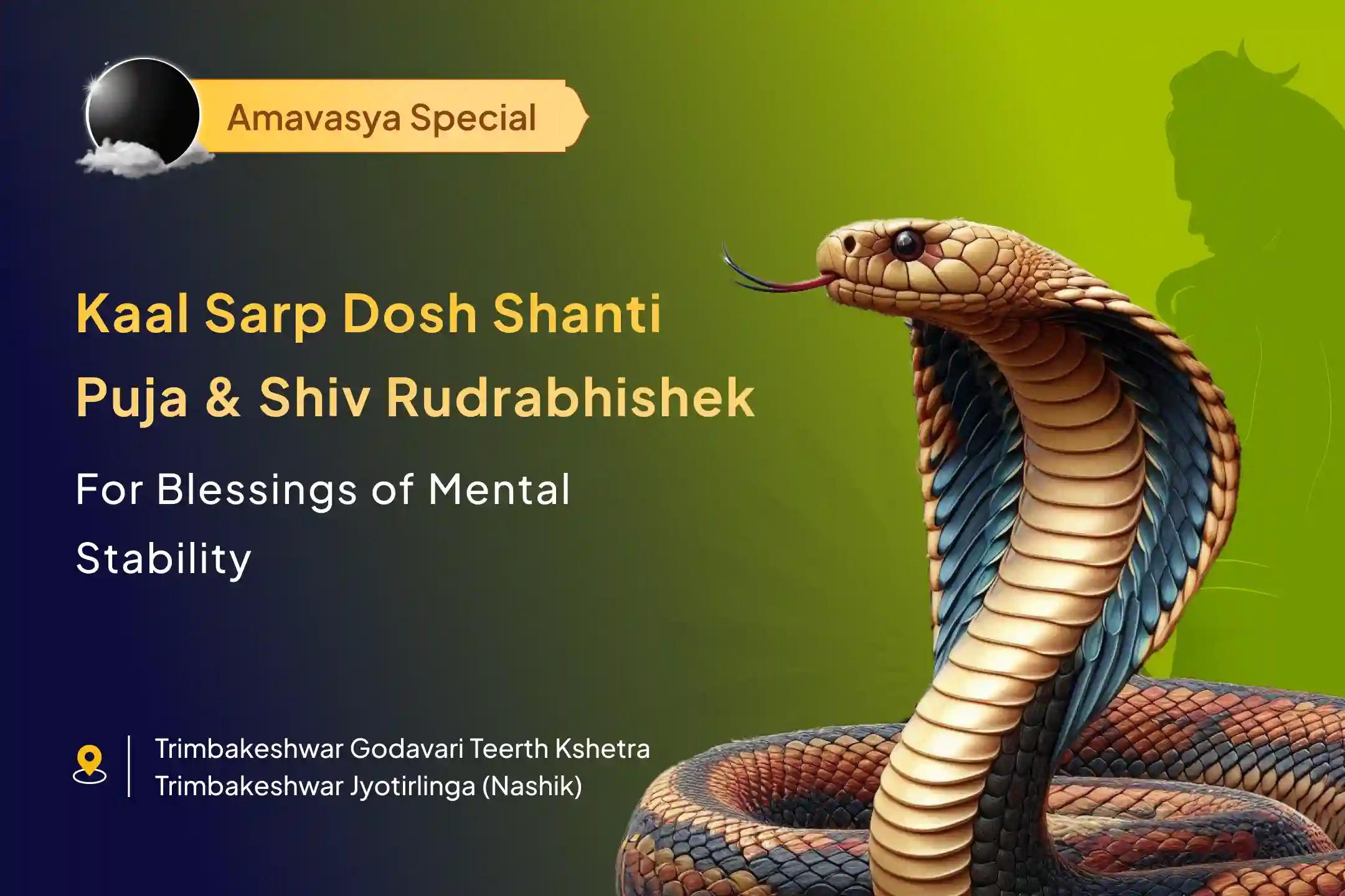 🙏 Receive the blessings of fearlessness and prosperity through Rudrabhishek with Kaal Sarp Dosha Shanti Puja during the divine Amavasya period