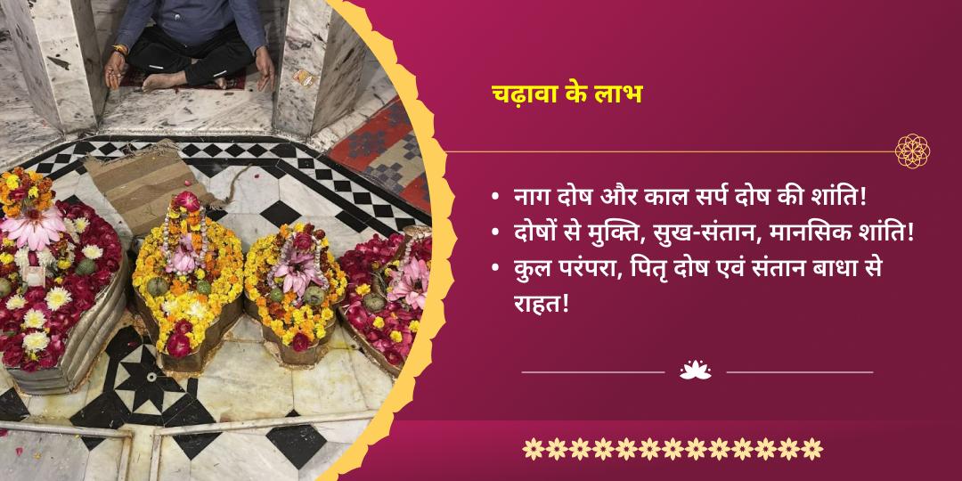 नागुला चविथी कुल शांति नाग देवता तक्षकनाथ मंदिर चढ़ावा
