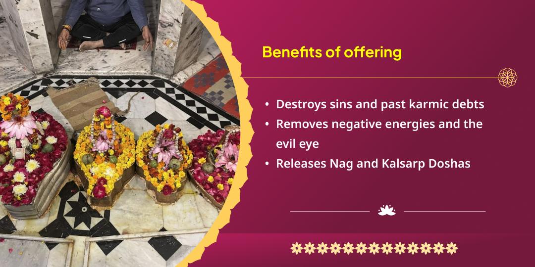 Nagula Chavithi Kul Shanti Nag Devta Takshaknath Chadhava