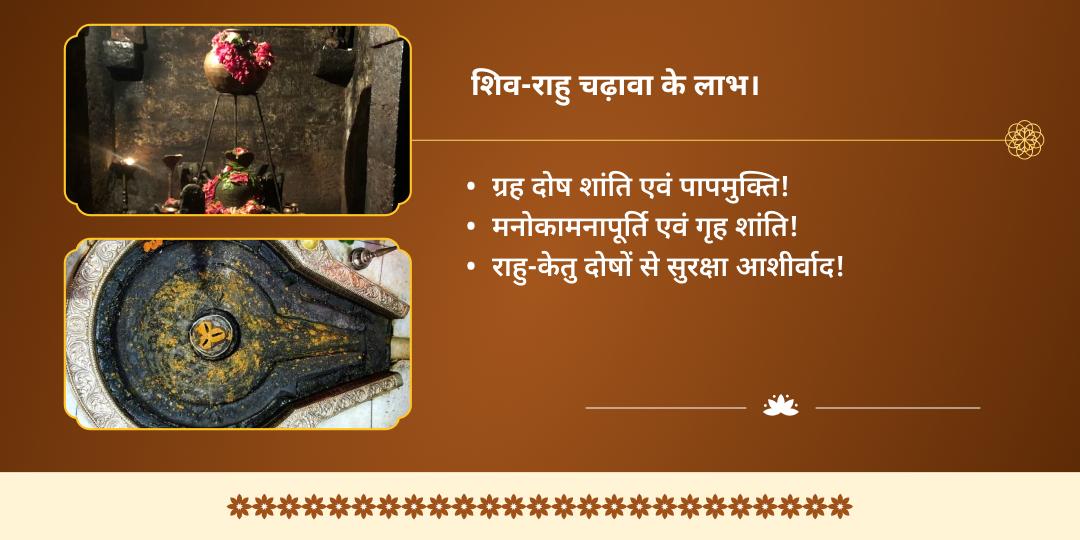 नागुला चविथी राहु-कालसर्प दोष शांति राहु-त्र्यंबकेश्वर द्विमंदिर चढ़ावा