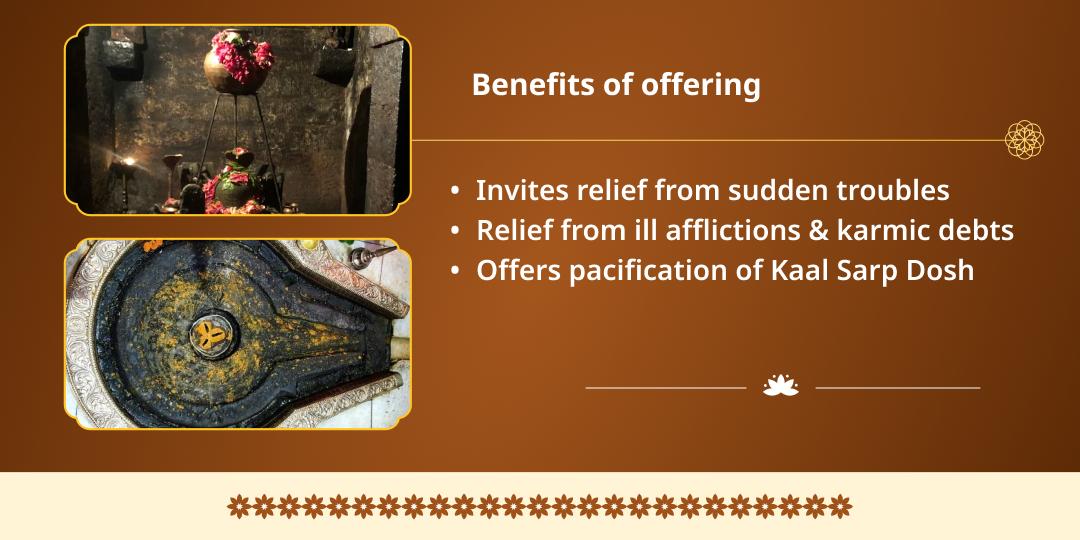 Nagula Chavithi Rahu-Kaal Sarp Dosh Shanti Rahu-Trimbakeshwar 