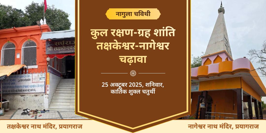 नागुला चविथी कुल रक्षण-ग्रह शांति तक्षकेश्वर-नागेश्वर द्विमंदिर चढ़ावा